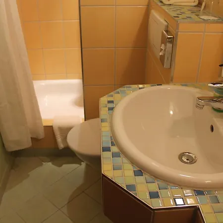 Ξενοδοχείο Rheingoldhof 3*
