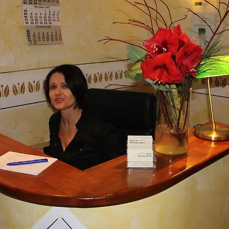 Hotel Rheingoldhof 3*