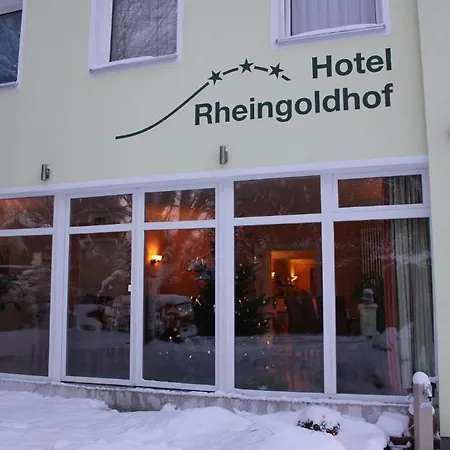 Rheingoldhof Hotel 3*
