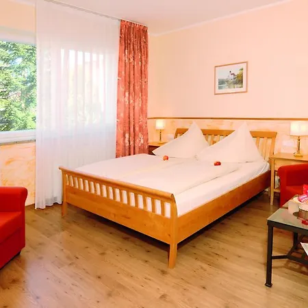 Hotel Rheingoldhof 3*